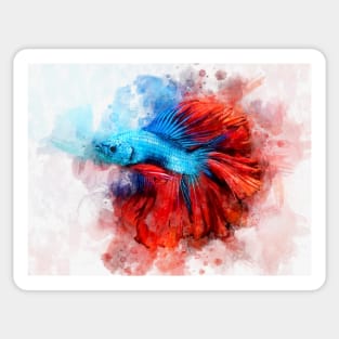 Blue Betta Fish with Red Tail watercolor Sticker